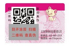 彩色可变二维码防伪门票