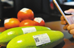 电码防伪标签是如何制作的，电码防伪技术制作流程有哪些？